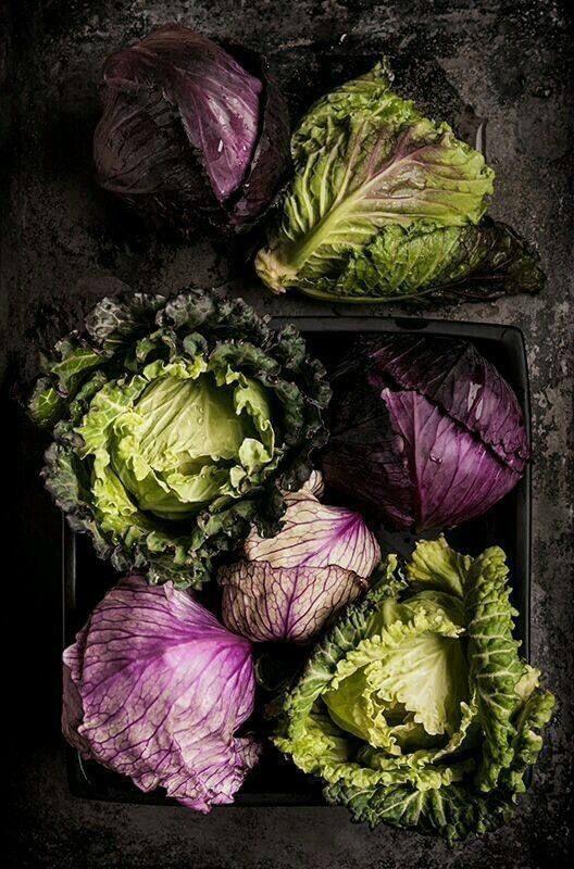 Garden Bounty: Season's Fresh Pick Harvest